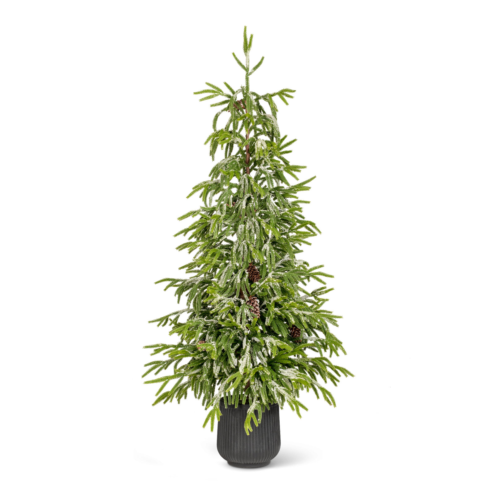 3ft Christmas Artificial Frosted Norfolk Pine Porch Tree with Pinecones, 3' H