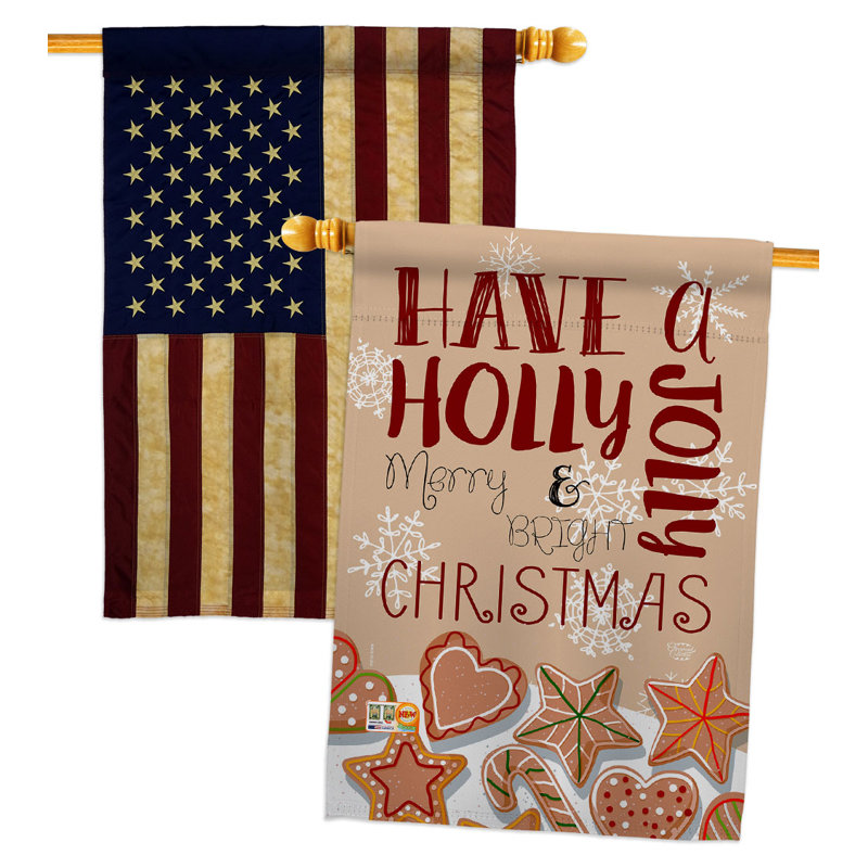 Drapeau de maison 40 po x 28 po Have a Holly Jolly