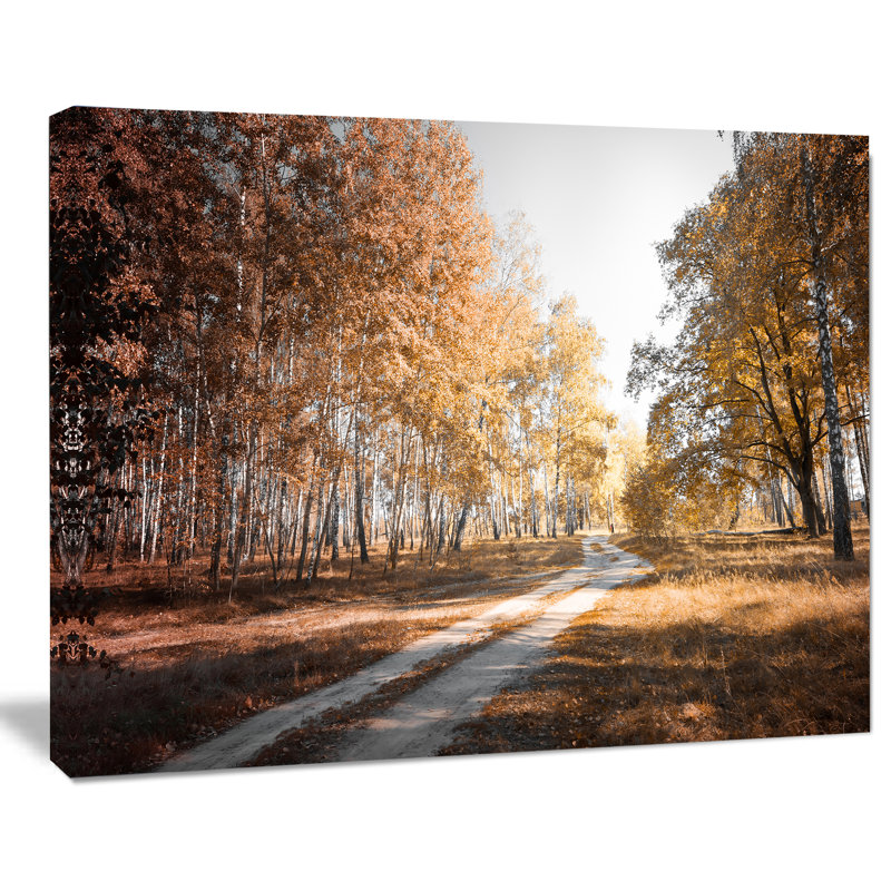 «Straight Road in Fall Birch Grove», reproduction de photo sur toile tendue, H 30 po x l 40 po