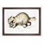 Racoon-Faced Dog by John Edward Gray - Picture Frame Painting Print-55765406-55765412