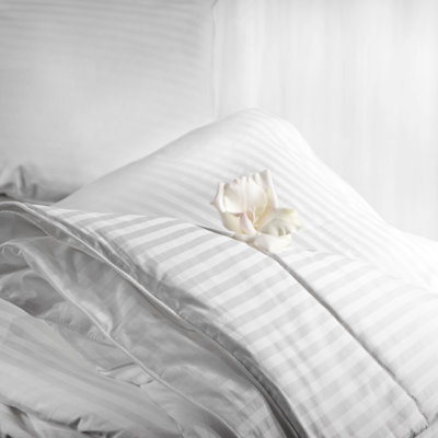 Aus Vio WINTER SILK FILLED COMFORTER