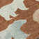Machine Washable Indoor/Outdoor Adalaide ACN2338 Lodge Rug