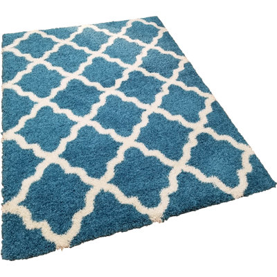 Tapis à poil long turquoise Anie