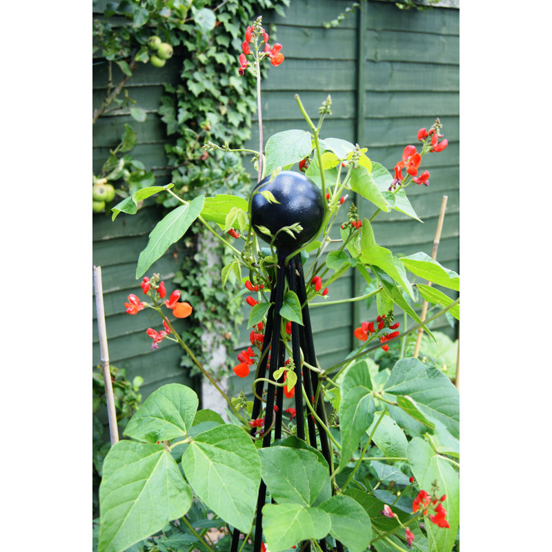 Epichio Obelisk Trellis, 203cm H x 38cm W x 38cm D
