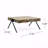 Mango Wood Coffee Table