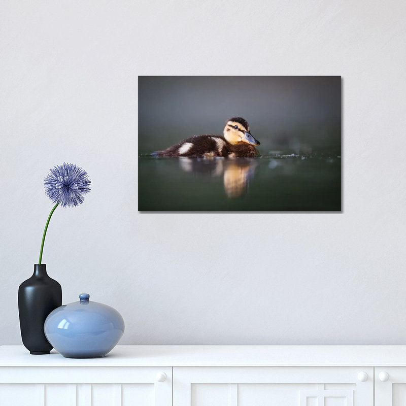 Duckling by Mateusz Piesiak - Wrapped Canvas Print, 30.48cm H x 45.72cm W x 1.905cm D