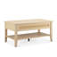 Breshawna 34.5'' W Rattan Lift-Top Coffee Table
