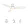 48" Smart Flush Mount Ceiling Fan with Remote Control and Light Kit Included