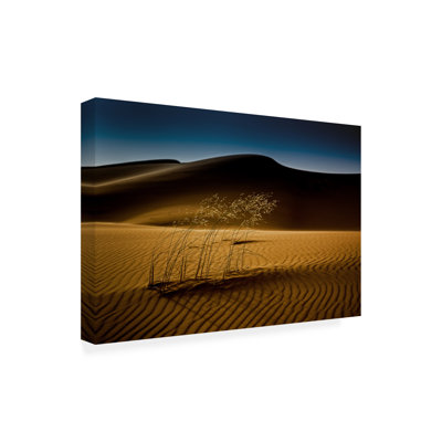 Art sur toile, Boland Rainer Inderst Seedasand