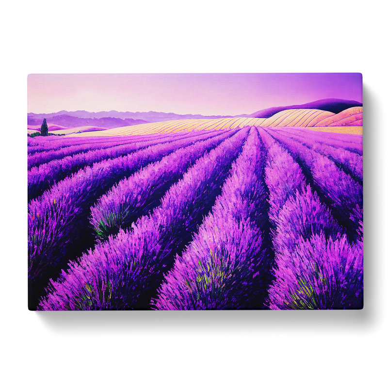 Intense Lavender Flower Field - Wrapped Canvas, 35cm H x 50cm W x 3cm D