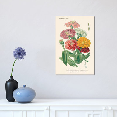 «Antique Botanical XLI Light» par Wild Apple Portfolio - impression sur toile tendue