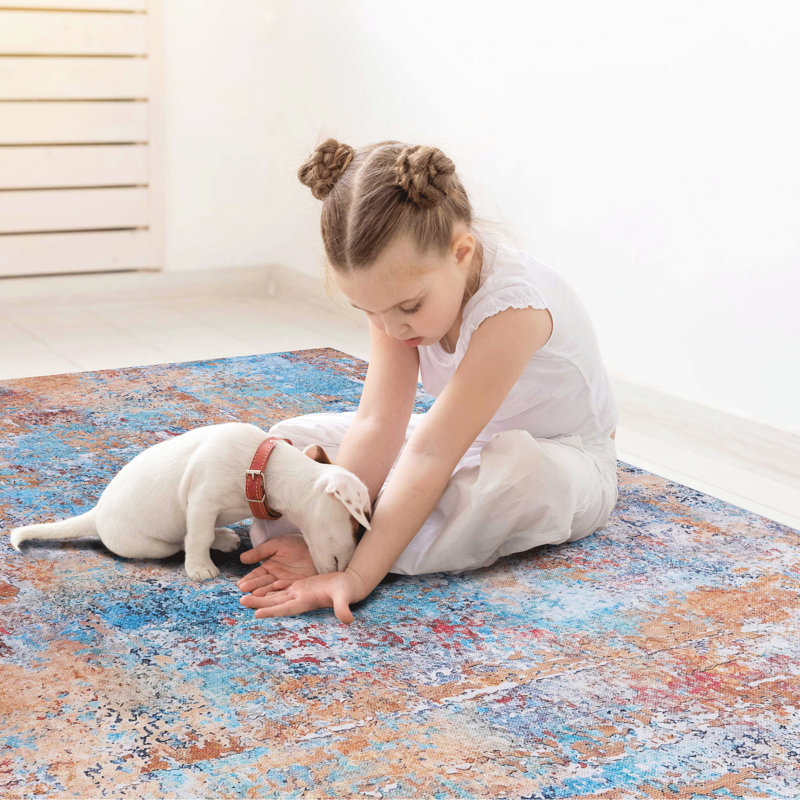Tapis lavable pour la cuisine - à poils courts, sans perte de poils, pliable (multi, lavable, antidérapant, antitache et pour animaux de compagnie)