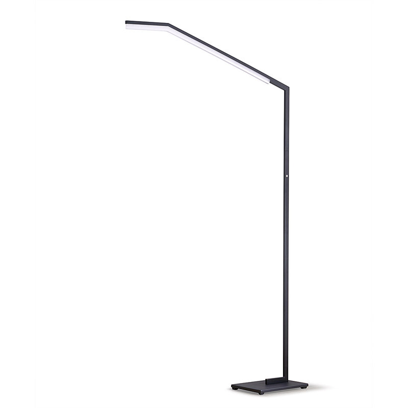 Alfretta 78'' LED Task Floor Lamp, Black
