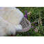 Novelty Sheepskin Area Rug-14653343