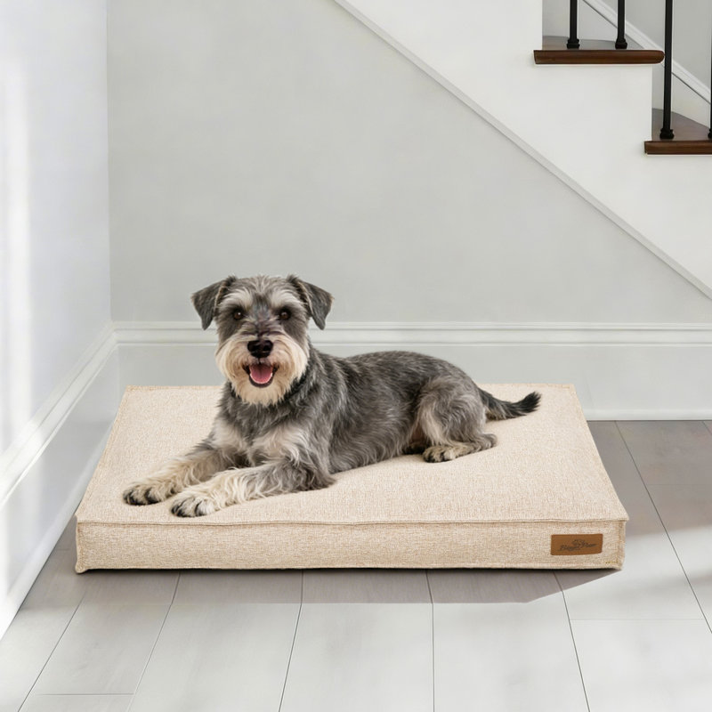 Pet Bed Firm Support Crate Mattress, Small (10cm H x 75cm W x 50cm D), Beige
