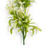 45 Plant-127681168