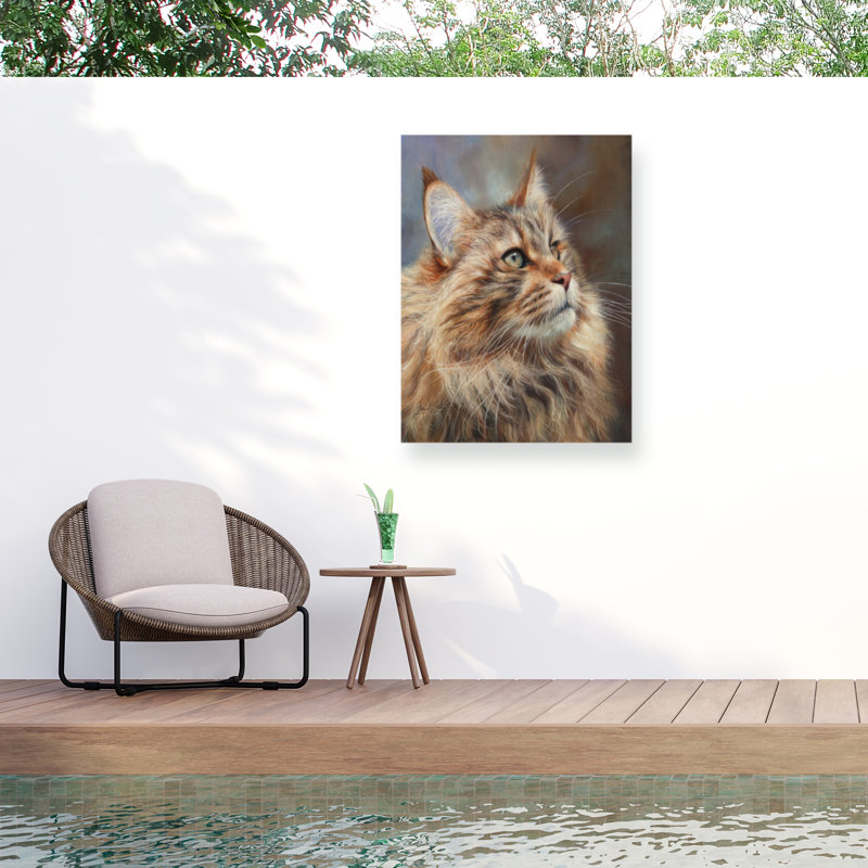 Toile d'extérieur David Stribble Maincoon Cat, H 14 po x l 19 po