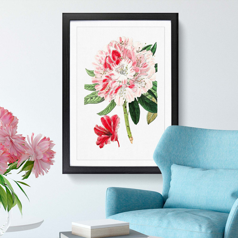 Pink Azalea Flowers - Framed Print, 36cm H x 27cm W x 2cm D, Black Framed