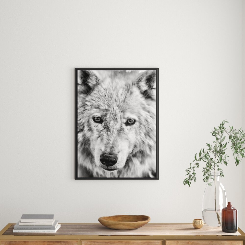 Gerahmtes Wandbild wunderschöner Polarwolf