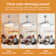 Beilin 3 - Blade LED Ceiling Fan with Remote Control and Light Kit Included