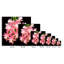 Cactus Succulents 649 - Impression sur toile tendue-1325224032