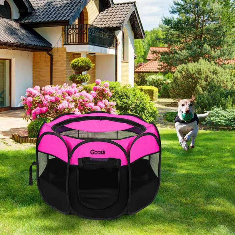 Cage pour animal de compagnie pour chat avec cage intérieure et extérieure pliable pour chat avec chiot chaton extérieur