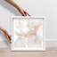 Neutral Flow II Shadowbox Abstract Print by Oliver Gal, Black Frame, 12 x 12-822191712-822191725
