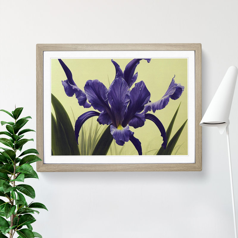 Cute Iris Flowers - Framed Print, 46cm H x 64cm W x 2cm D, Oak