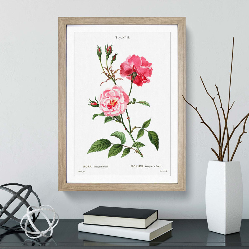 Ever-blowing Pink Roses by Pierre-Joseph Redoute - Picture Frame Painting Print, Oak Framed, 65cm H x 48cm W x 2cm D