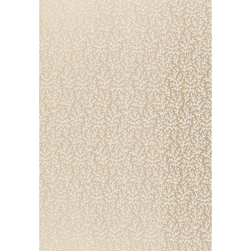 Papier peint corail de mer, Champagne