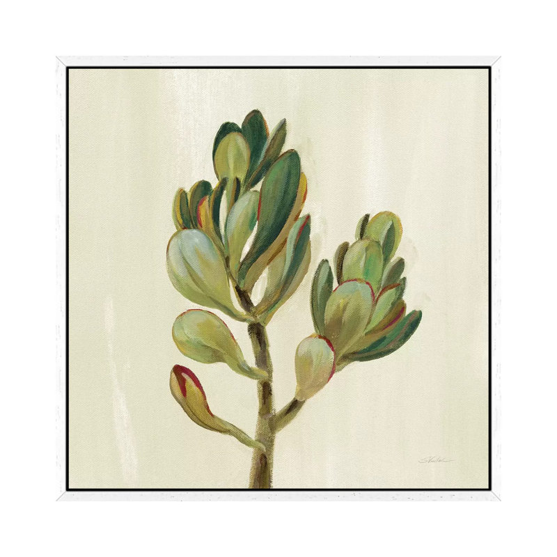 Front Yard Succulent II 1 Piece Wall Art on Canvas, 45.72 cm H x 45.72 cm W, White Framed