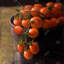«Bucket of Cherry Tomatoes - Still Life», reproduction encadrée noire