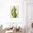 Harnek Front Yard Cactus II-108427007