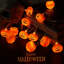 Guirlande 20 lumières d'Halloween