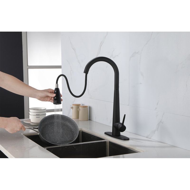 Robinets de cuisine noirs avec douchette rétractable, Noir mat