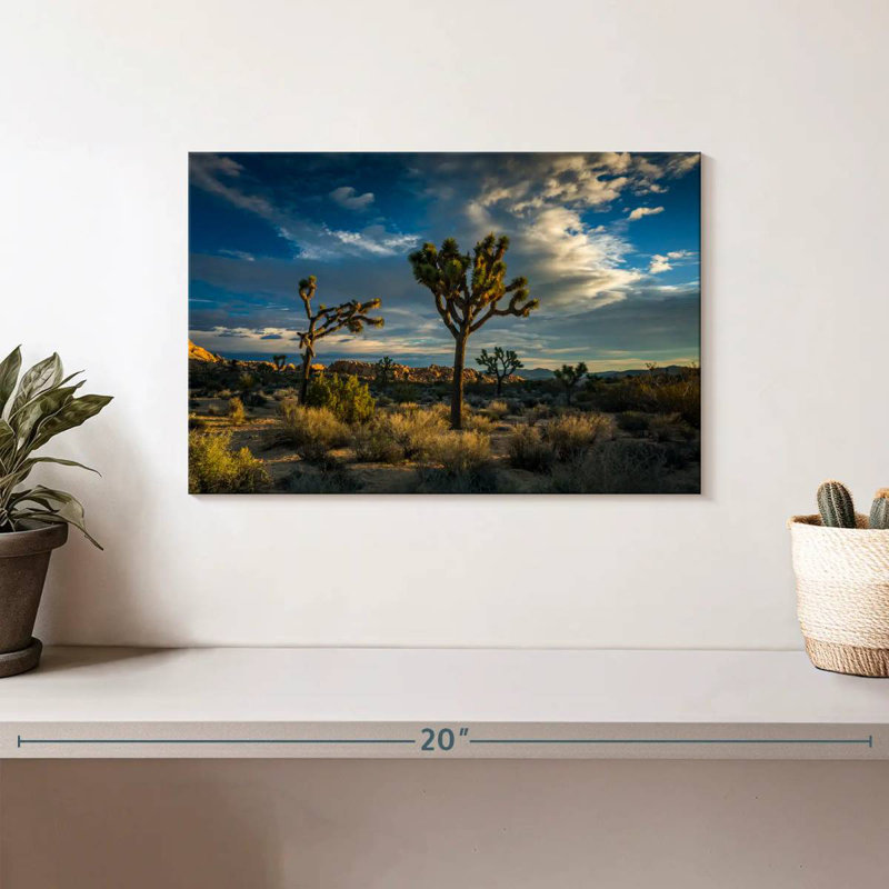Paysage du parc national Ravi Joshua Tree, H 8 po x l 12 po