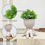 Plantes succulentes artificielles pour salle de bain