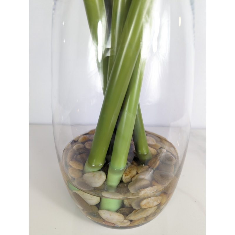 Amaryllis arrangement dans un vase
