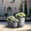 Jardinière Lughan-1732785469