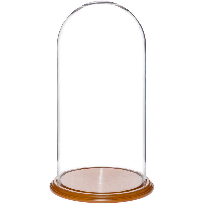 Cloche en verre Vucciria, Base en placage de chêne, H 20 po x l 9,75 po x P 9,75 po