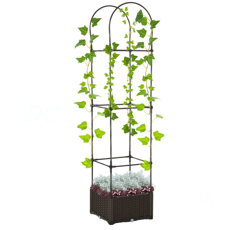 Raised Garden Bed with Trellis