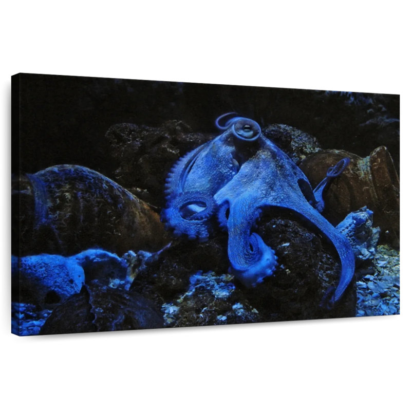 Brampt Stoic Blue Octopus, 26" H x 39" W