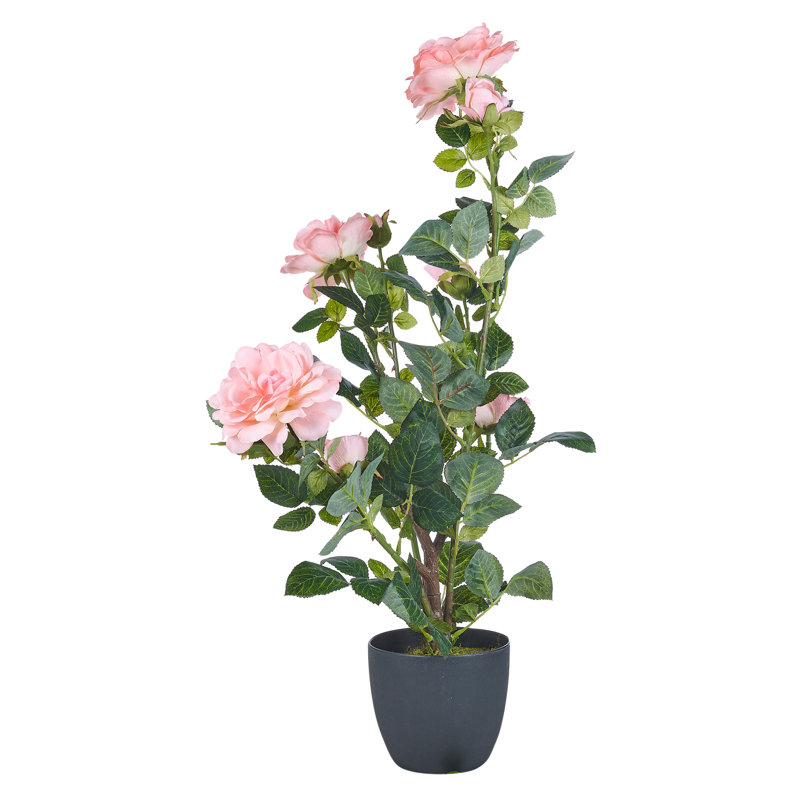 Arrangement
