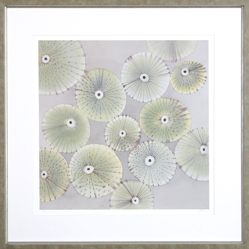 Sea Urchins I Print by Heaton