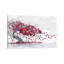 Fleur de cerisier - impression sur toile tendue-56030652-74873663