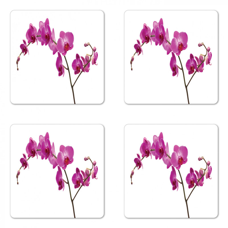 Square 4 Piece Coaster Set