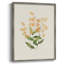 Impression florale vintage encadrée LXII - bois massif-1232602870