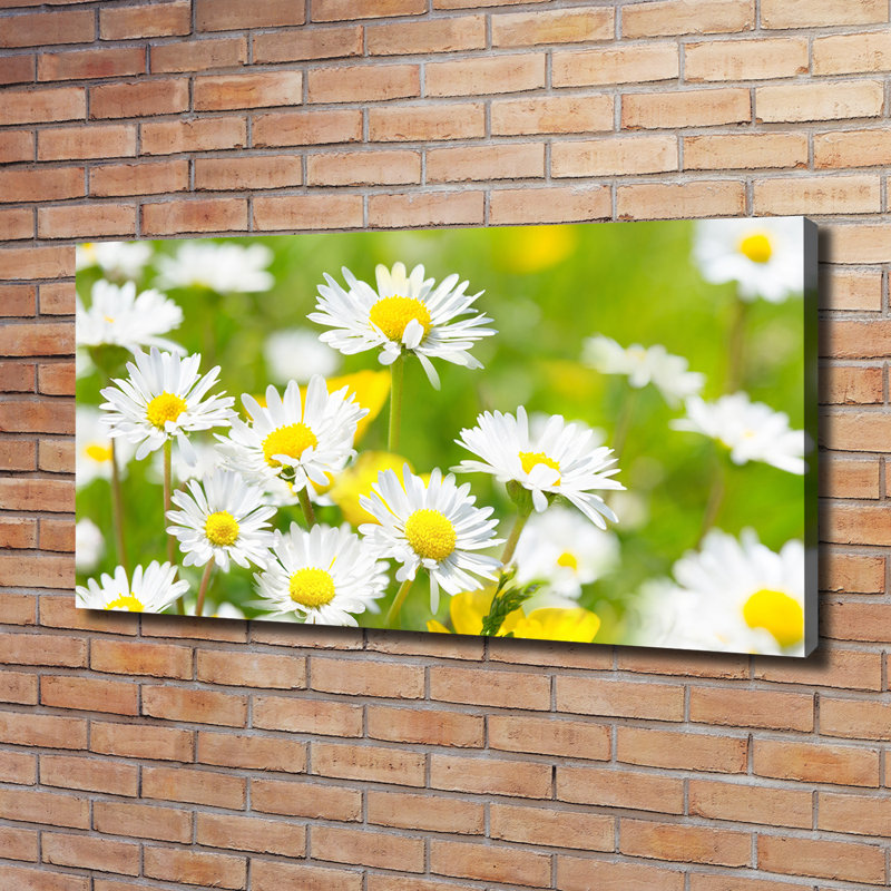 Daisies - Wrapped Canvas Print
