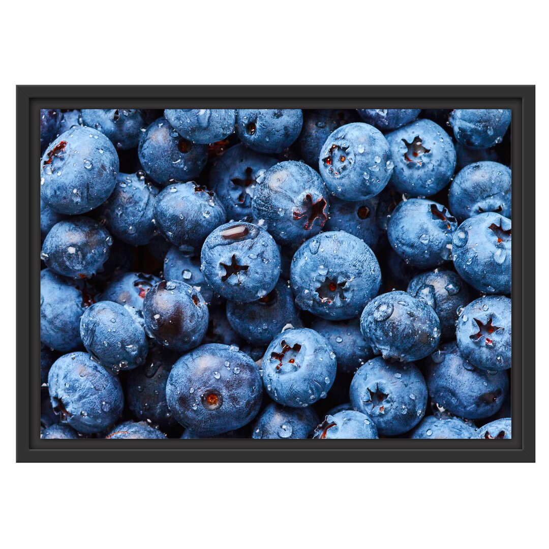 Gerahmtes Wandbild Blaubeeren mit Wassertropfen