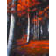 «Mysterious Forest», reproduction sur toile